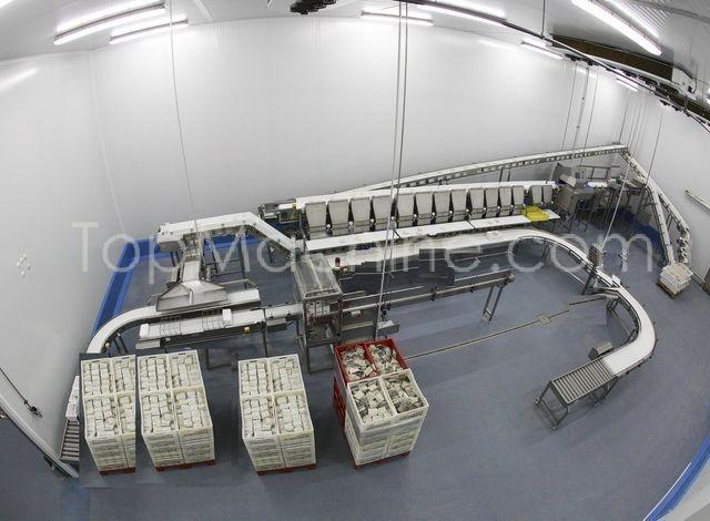 Used MAREL VISION 12 Food Packing, Weighers, Sorters