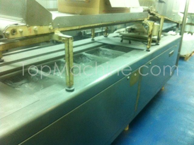 Used Elton Pack 6000-420 Thermoforming & Sheet Packaging