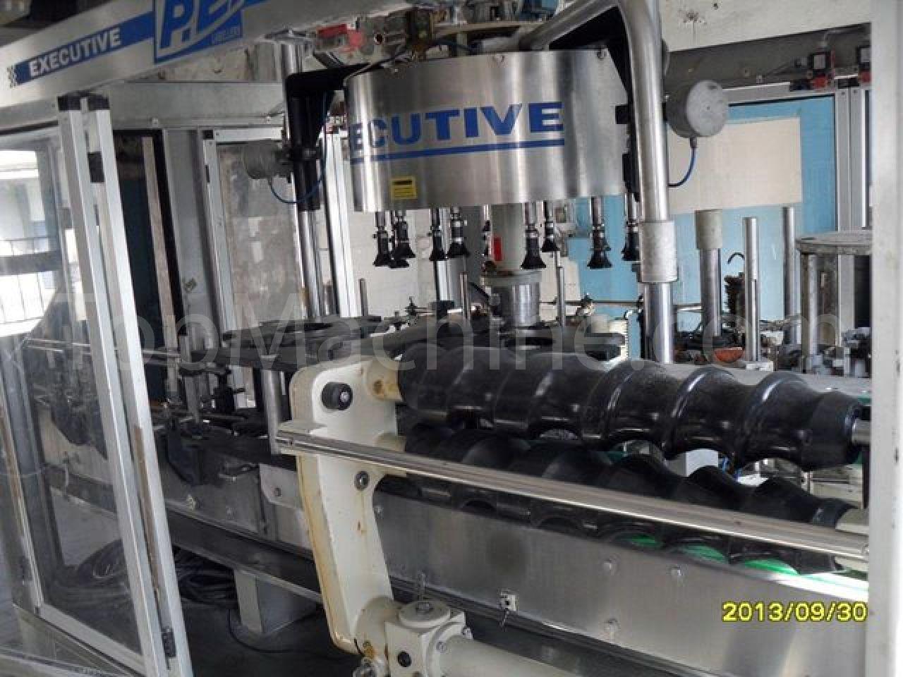 Used P.E. Labellers Executive 12T/D540/1S-2E Boissons & Liquides Etiqueteuse de bouteilles