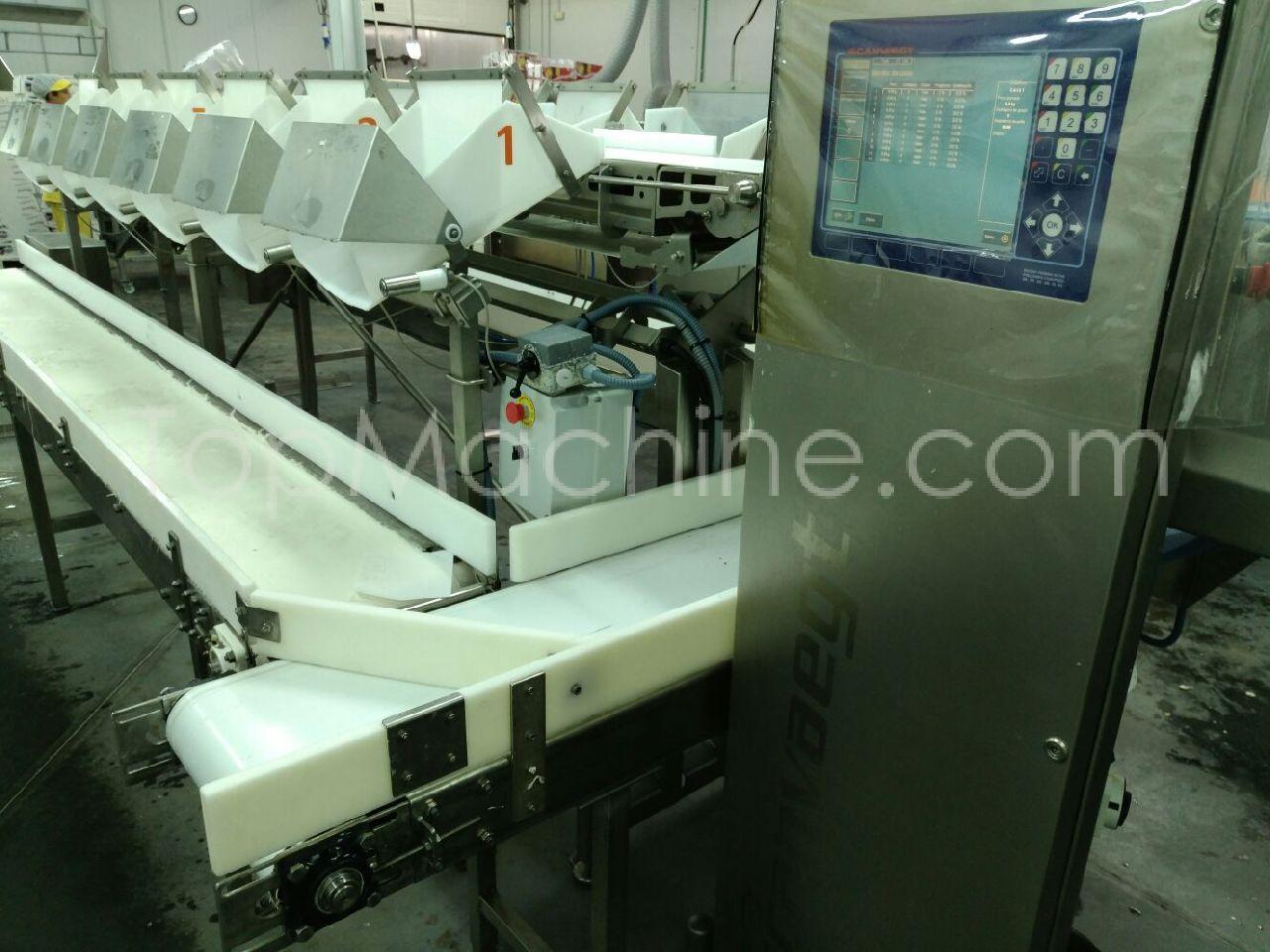 Used Scanvaegt Scanbatcher 4700 Food Packing, Weighers, Sorters