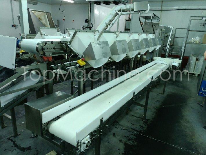 Used Scanvaegt Scanbatcher 4700  Packing, Weighers, Sorters